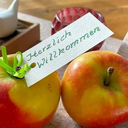 Alpennest Comfortable Fussen